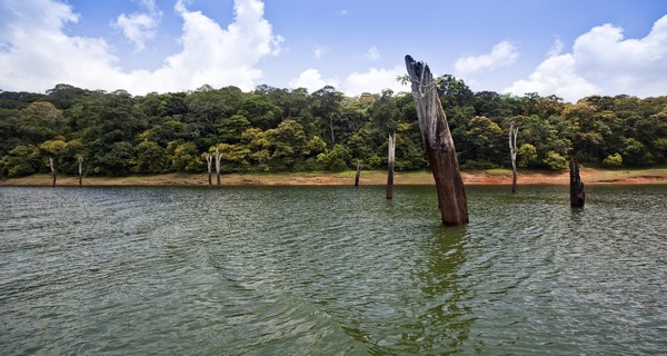 best-10-places-to-visit-in-thekkady