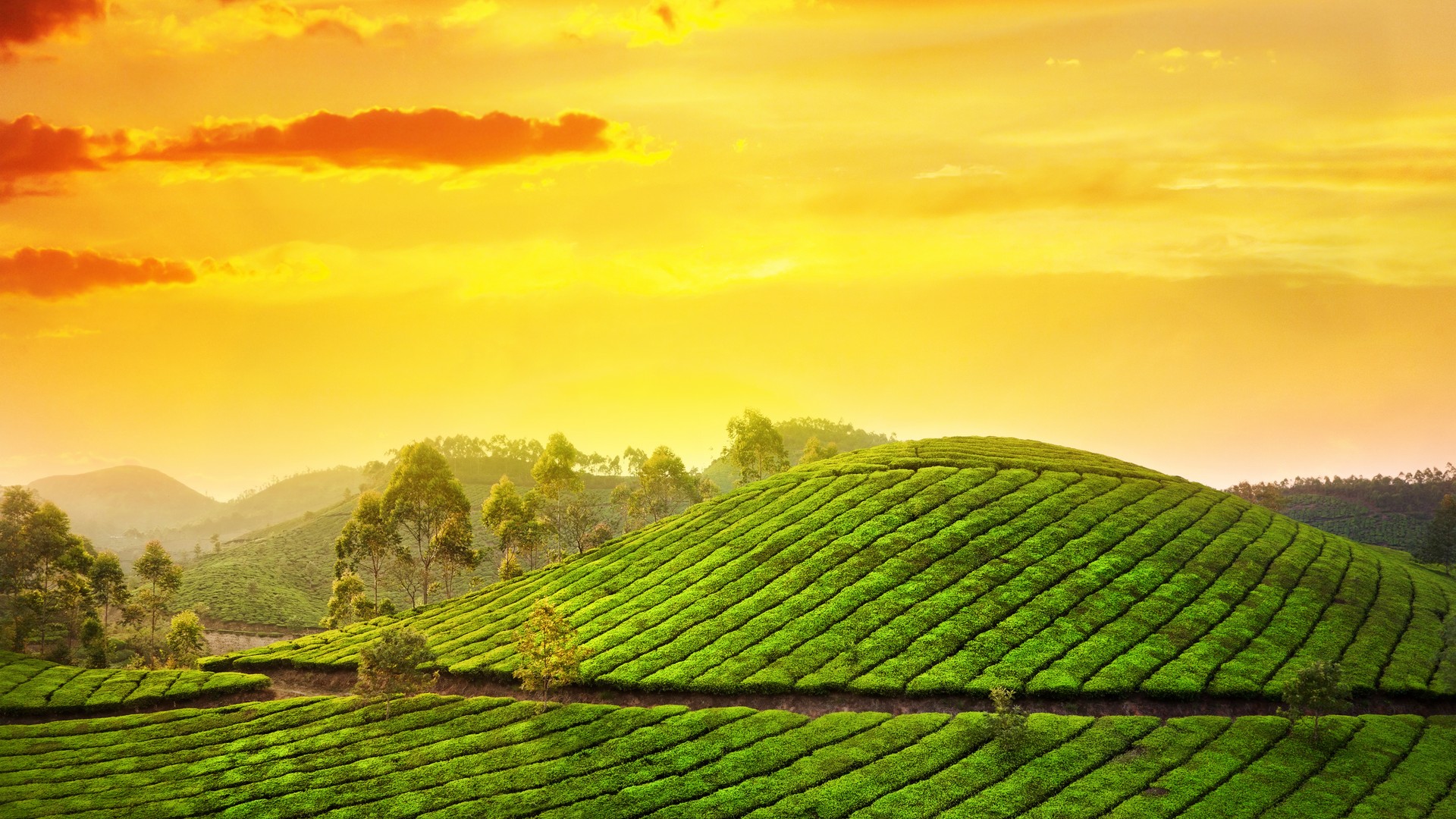 fascinating-kerala-package