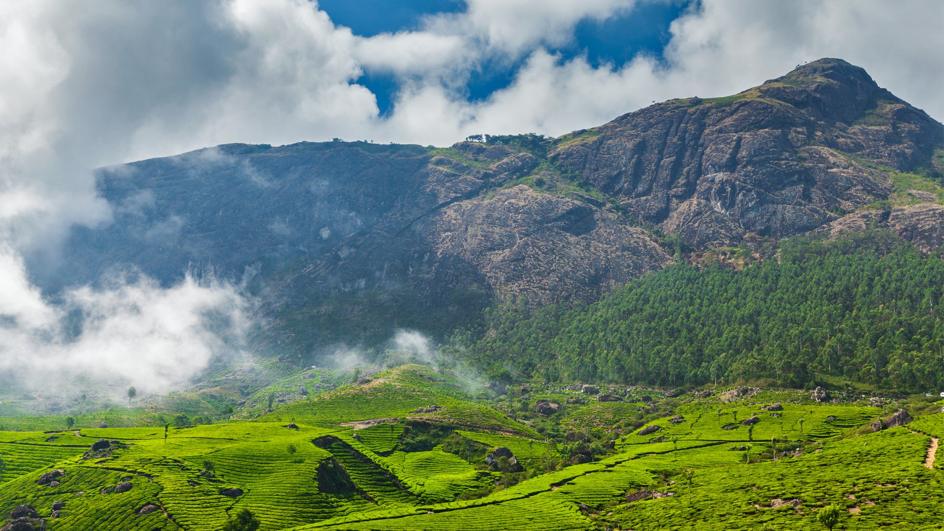 paradise-kerala-holiday-package