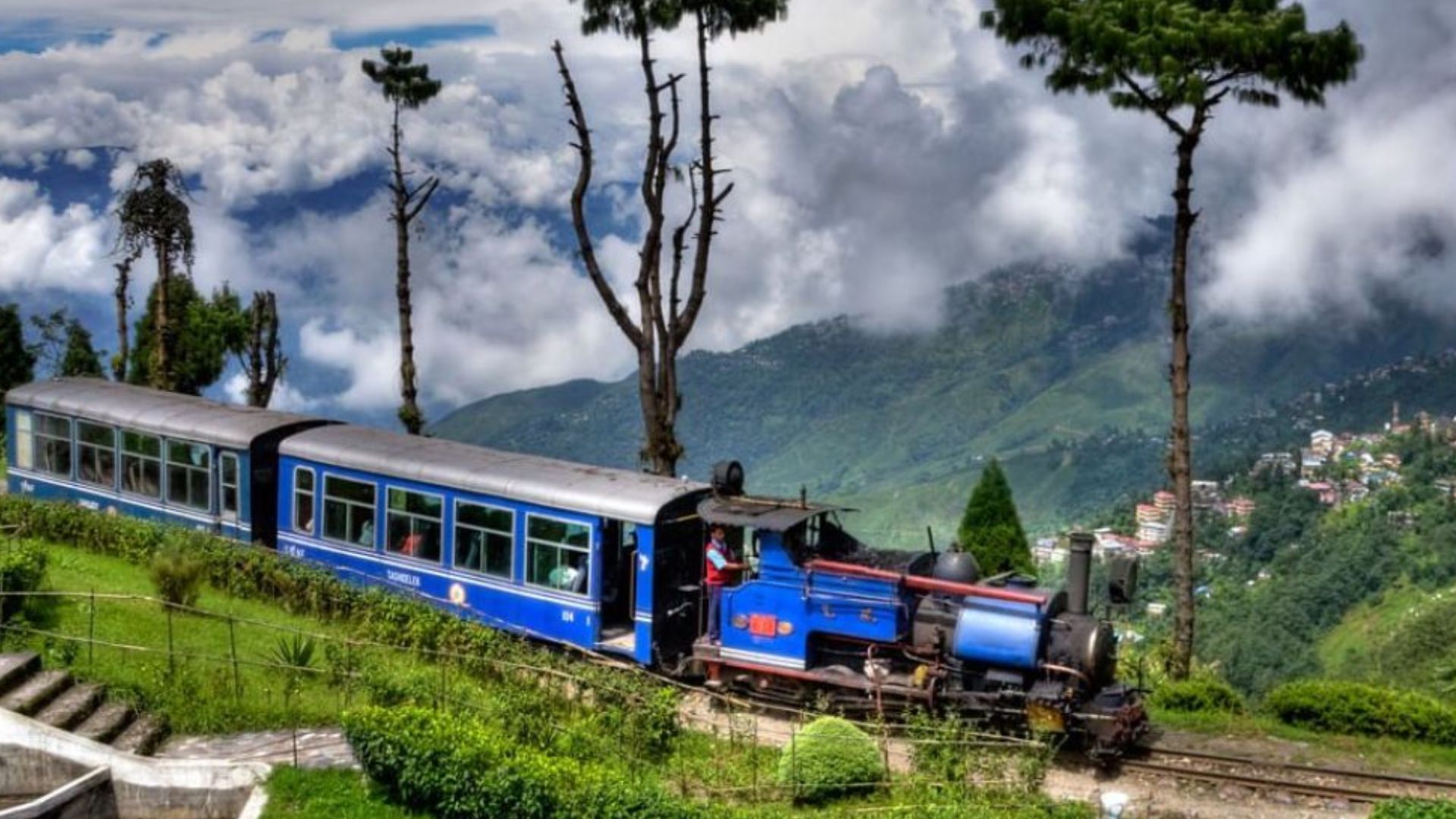 darjeeling