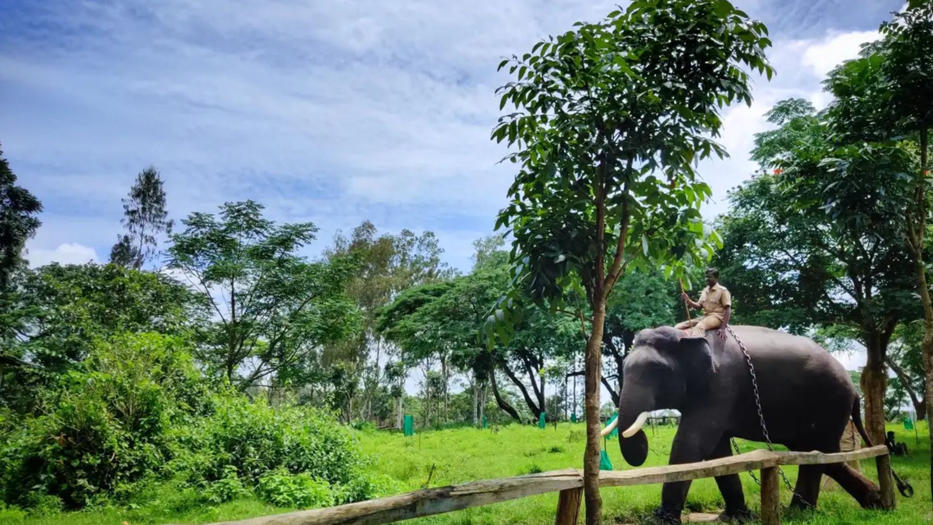 dubare-elephant-camp