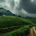 monsoon-season