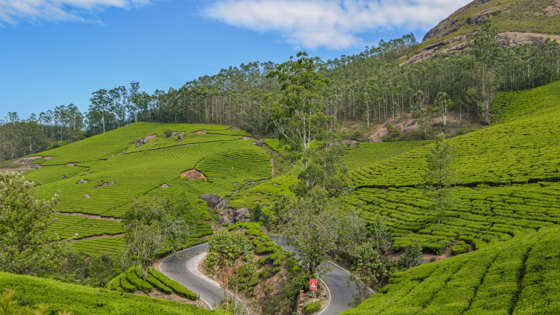 munnar-view