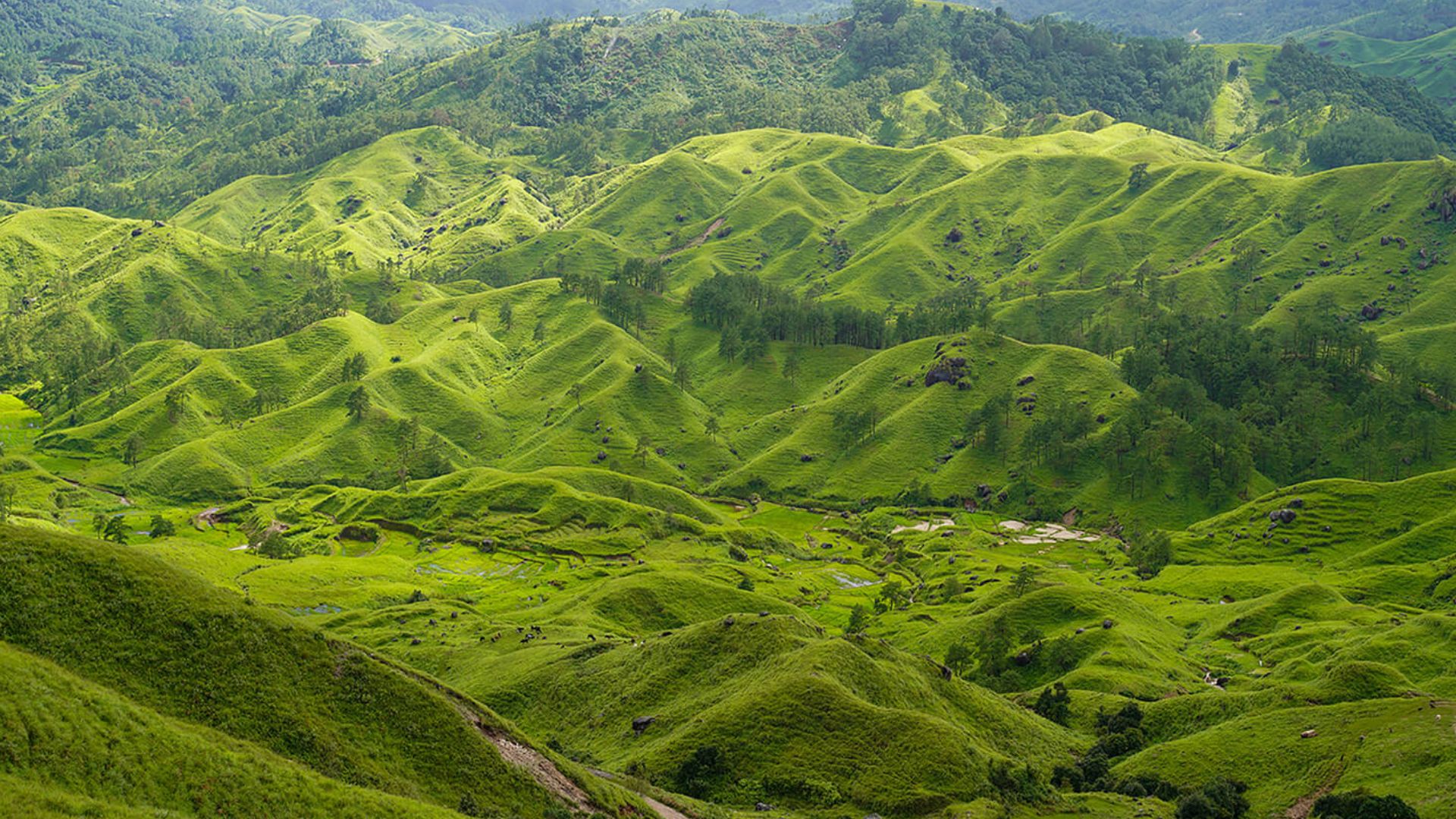 khasi-hills
