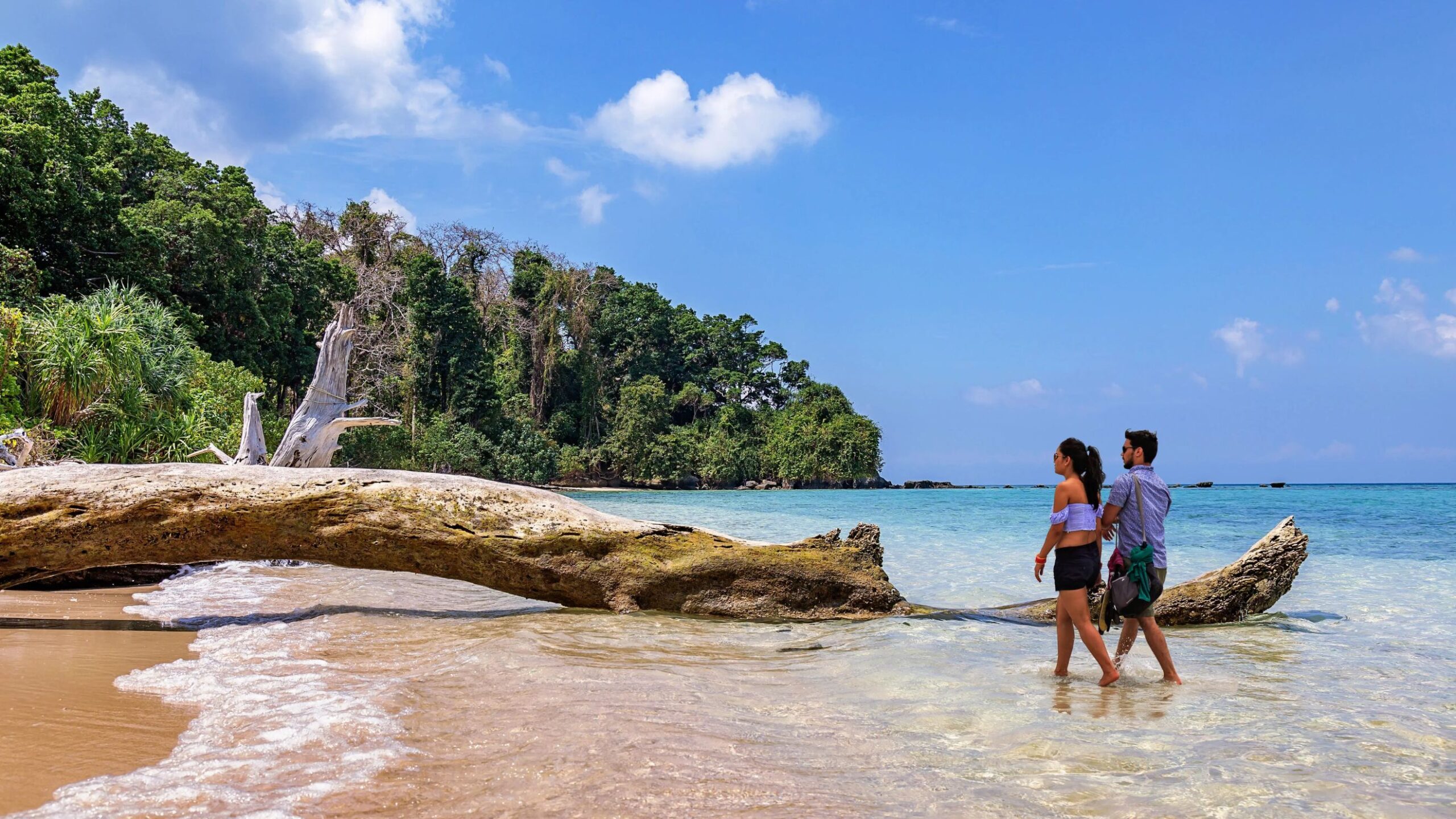 Pequeno-(bat)-island-goa