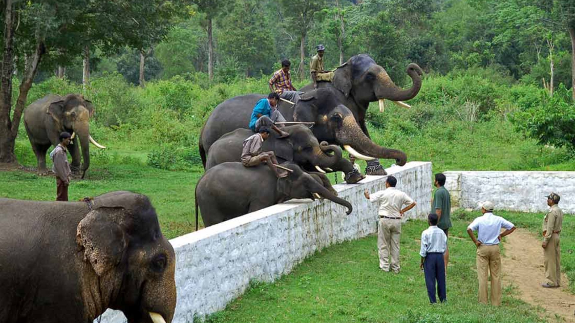 dubare-elephant-camp