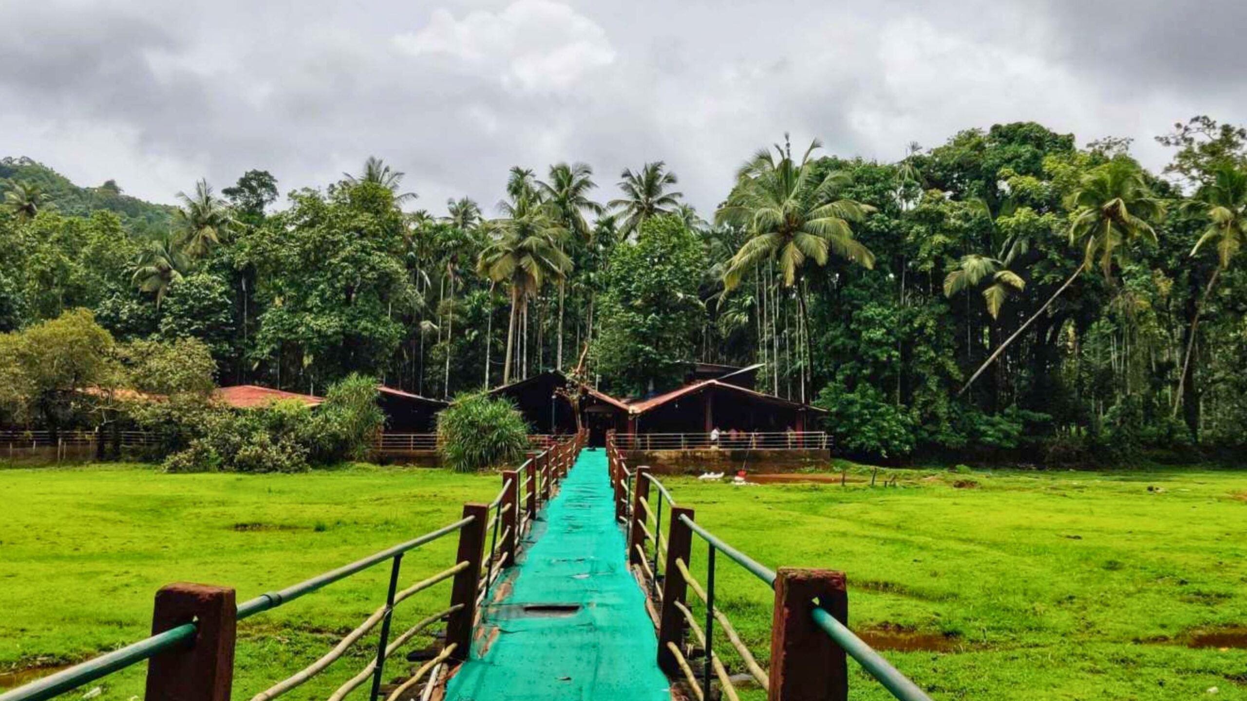 savoi-spice-plantations