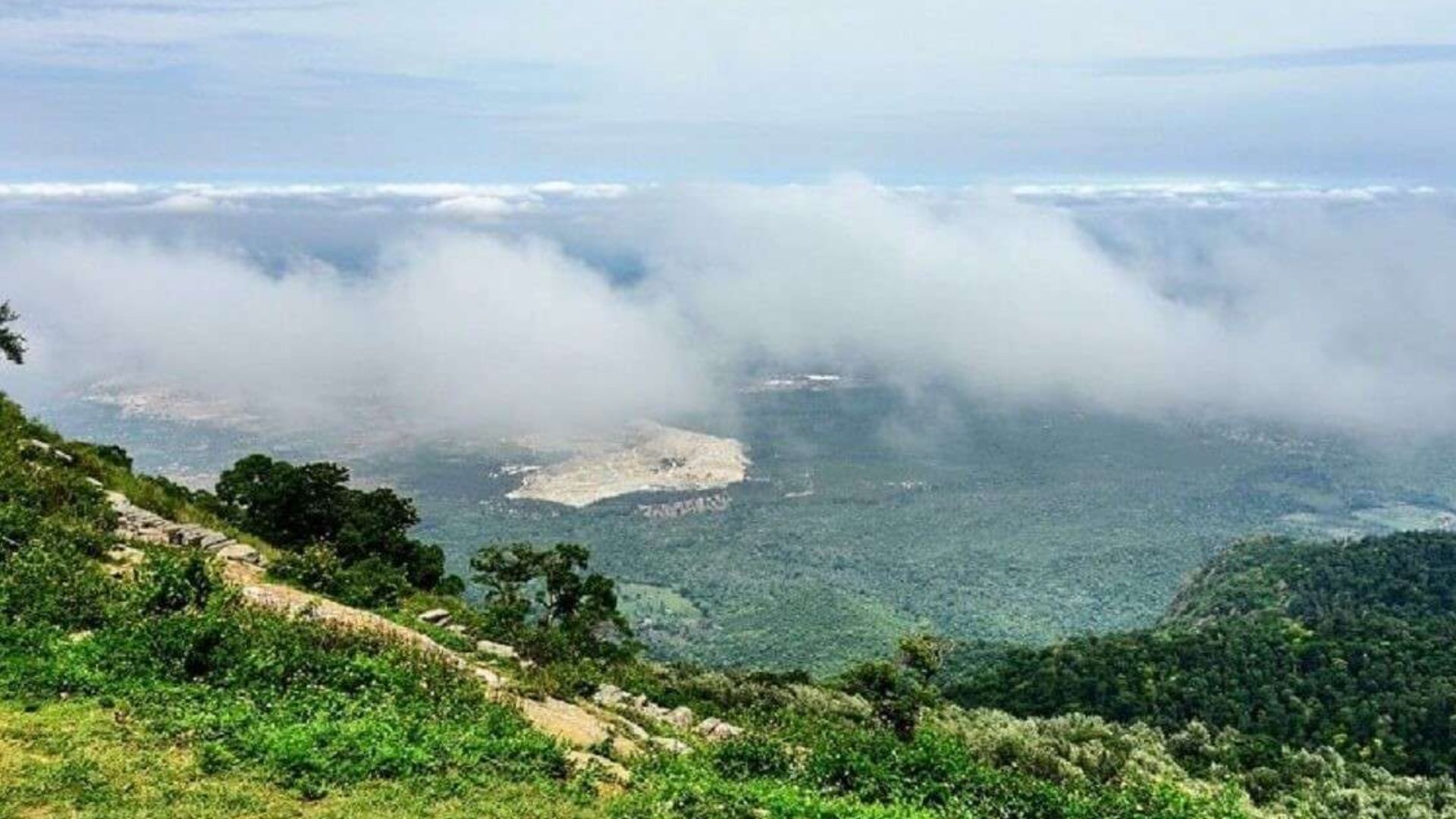 yercaud-tamil-nadu