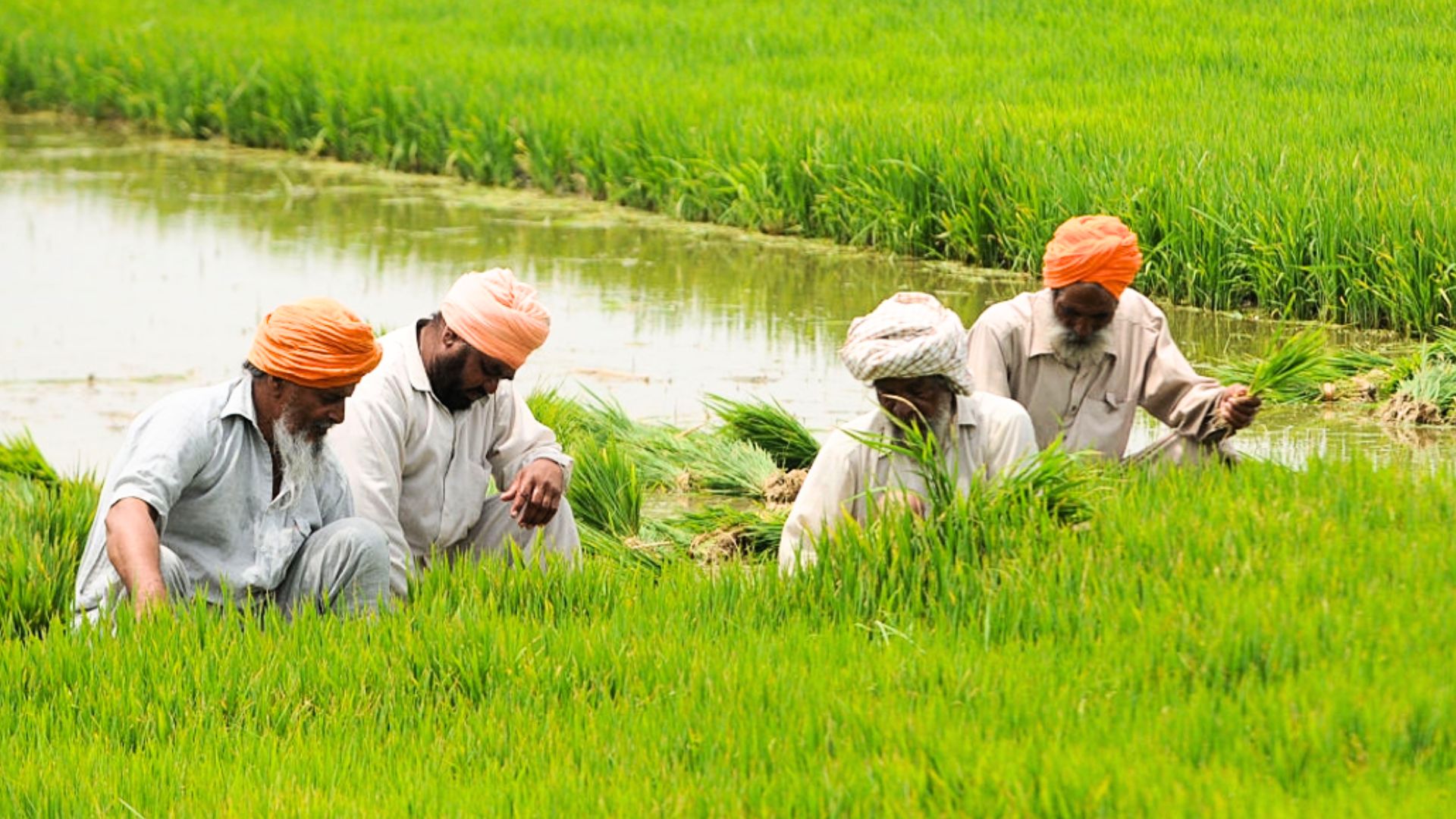 exploring-the-soul-of-punjab